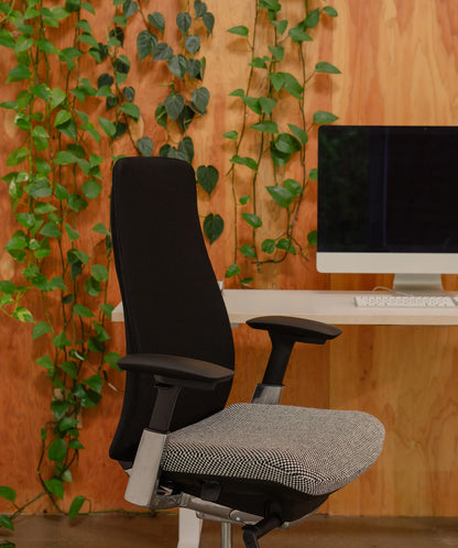 Haworth® Fern™ Chair with Sisu