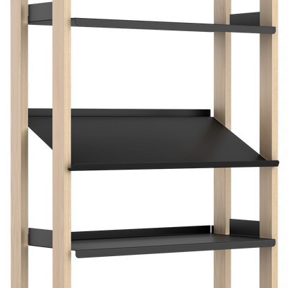 The Display Shelf Standalone