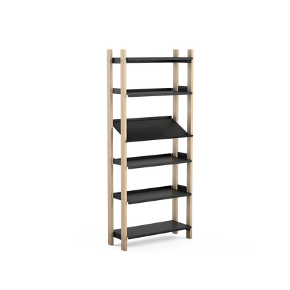 The Display Shelf Standalone