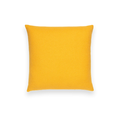 Throw Pillows