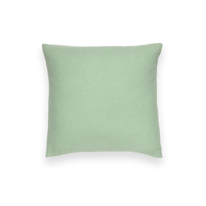 Throw Pillows